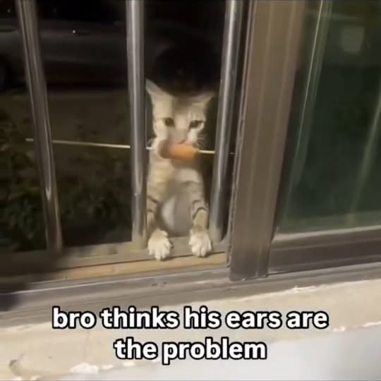  ......lyfans   'recent posts' 