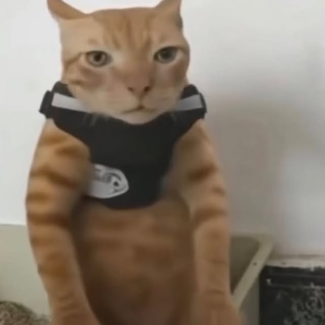  .....attos   'recent posts' 