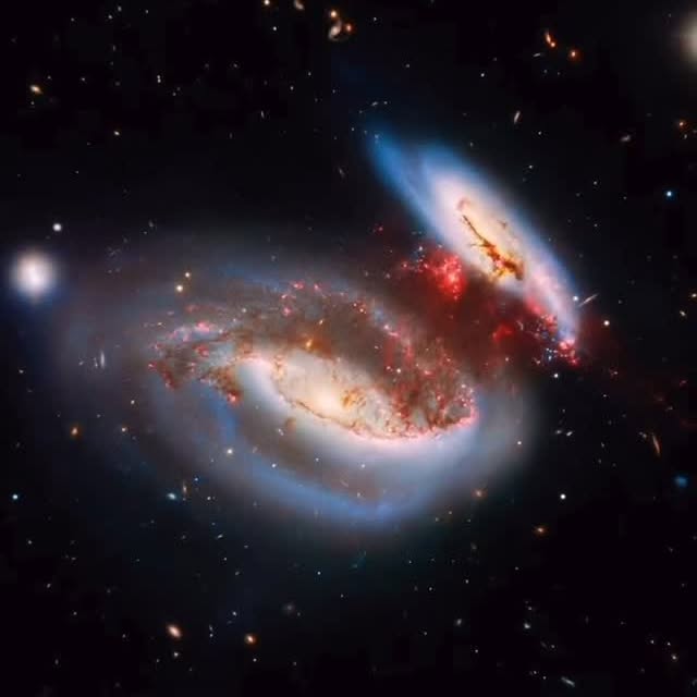  ........pesdaily   'recent posts' 