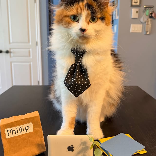  .........tofficial   'recent posts' 