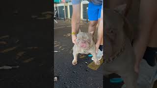  .......al Music  'recent videos' 