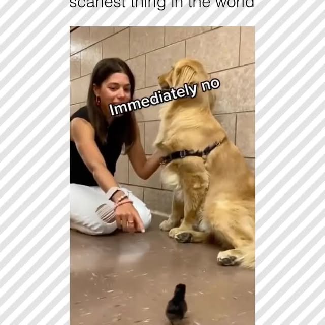  ......rposts   'recent posts' 