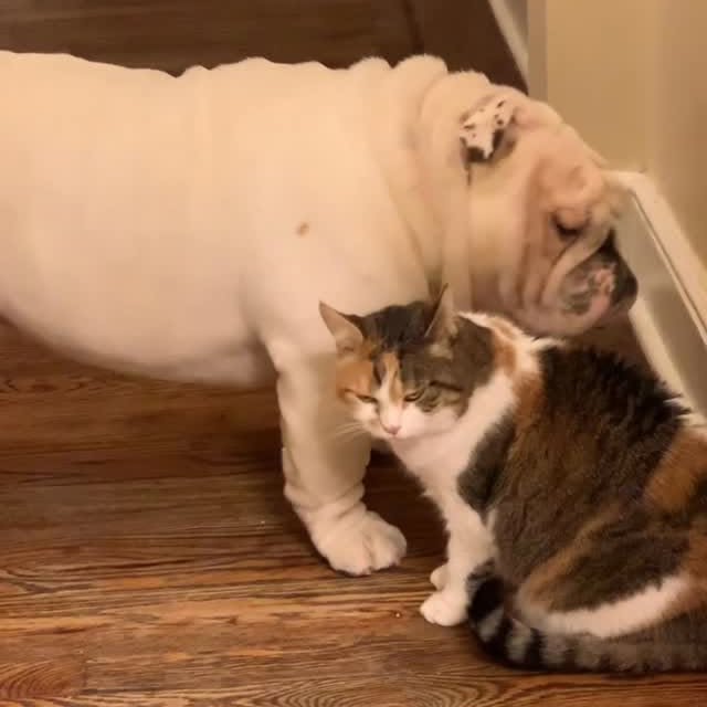  ......rwhite   'recent posts' 