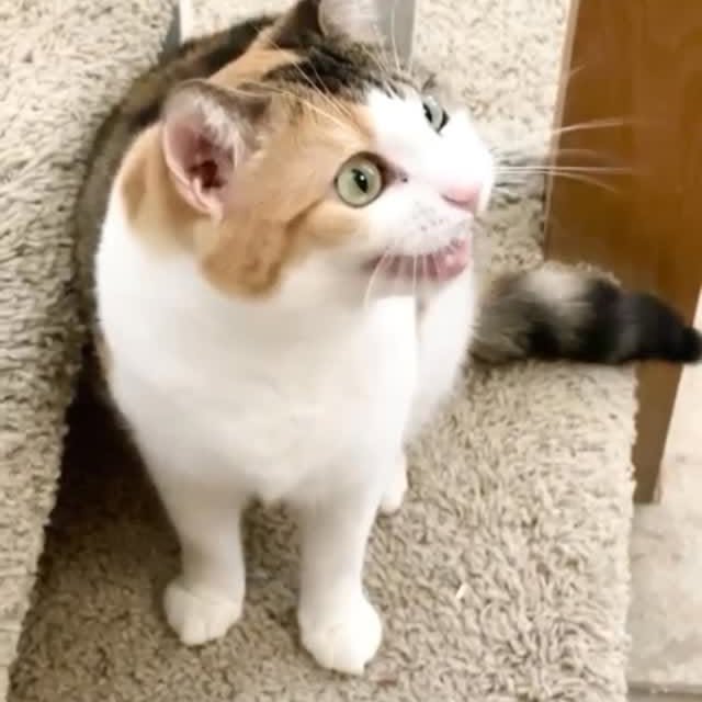  ......kekkek   'recent posts' 