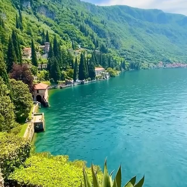  .........naireshall   'recent posts' 