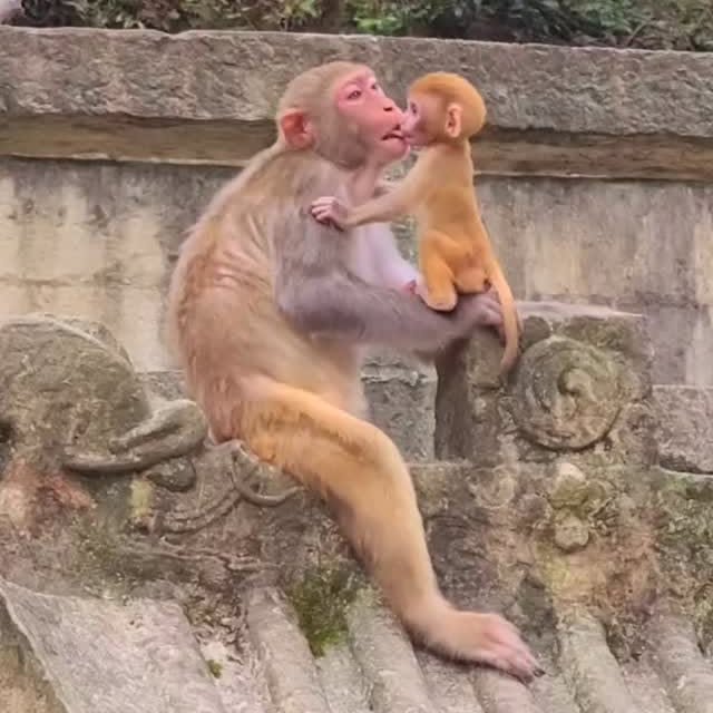  ....retie   'recent posts' 