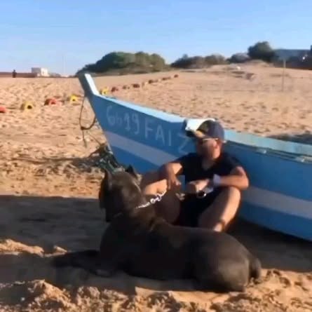  ........o.castle   'recent posts' 