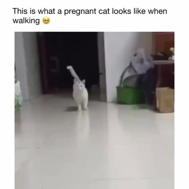  .....sarena   'recent posts' 