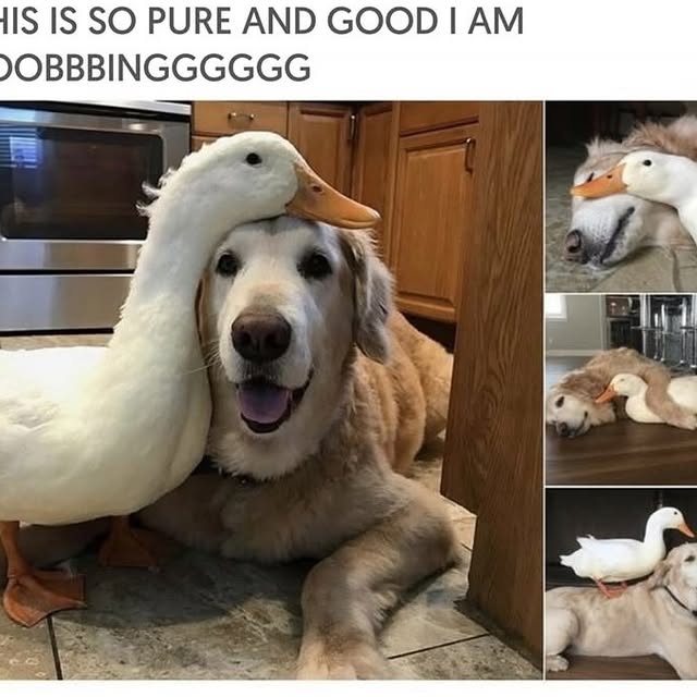  ......iends2   'recent posts' 