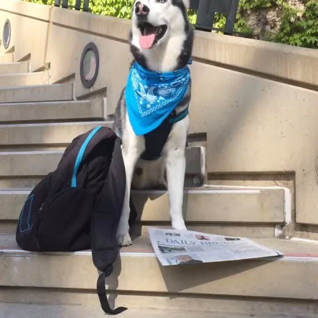  .....tmiles   'recent posts' 