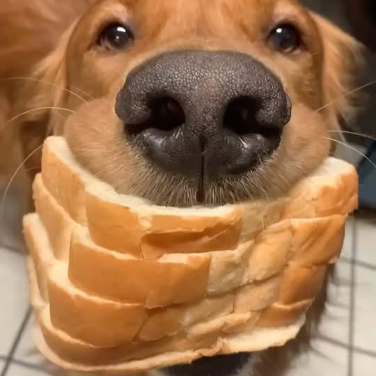  ........rcuteness   'recent posts' 