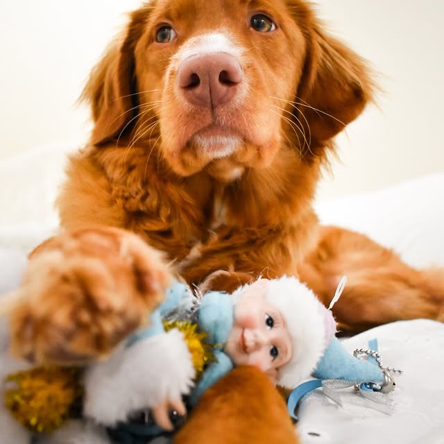  ......atoller   'recent posts' 