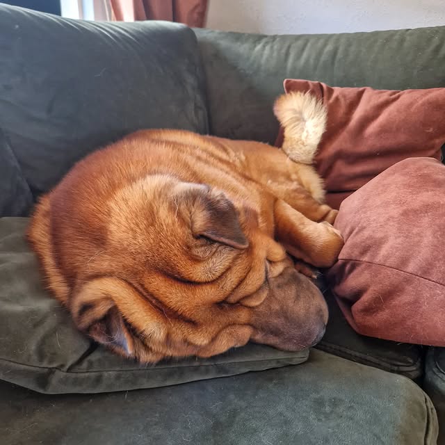  ......i.world   'recent posts' 