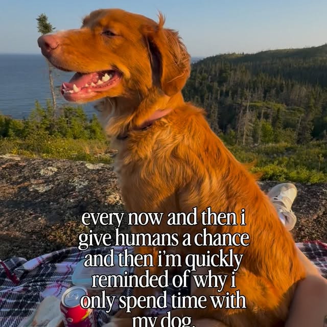  ......atoller   'recent posts' 