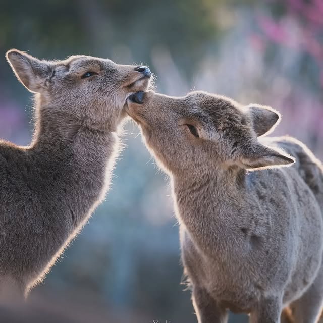  ......entpix   'recent posts' 