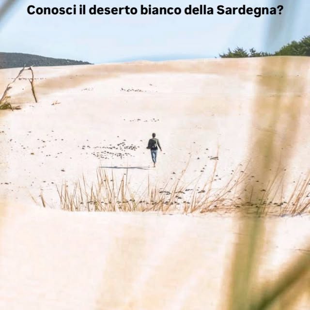  .....serraa   'recent posts' 