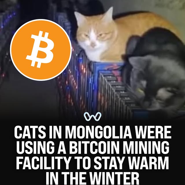  ........alth_club   'recent posts' 