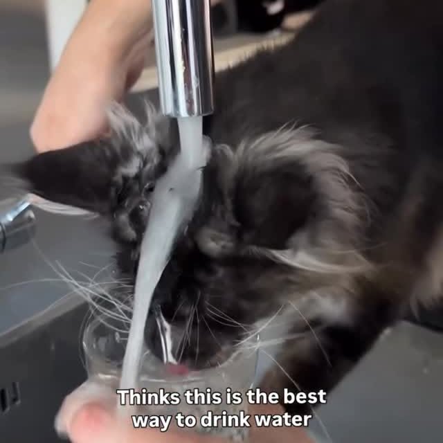  ...........irtonguesout   'recent posts' 