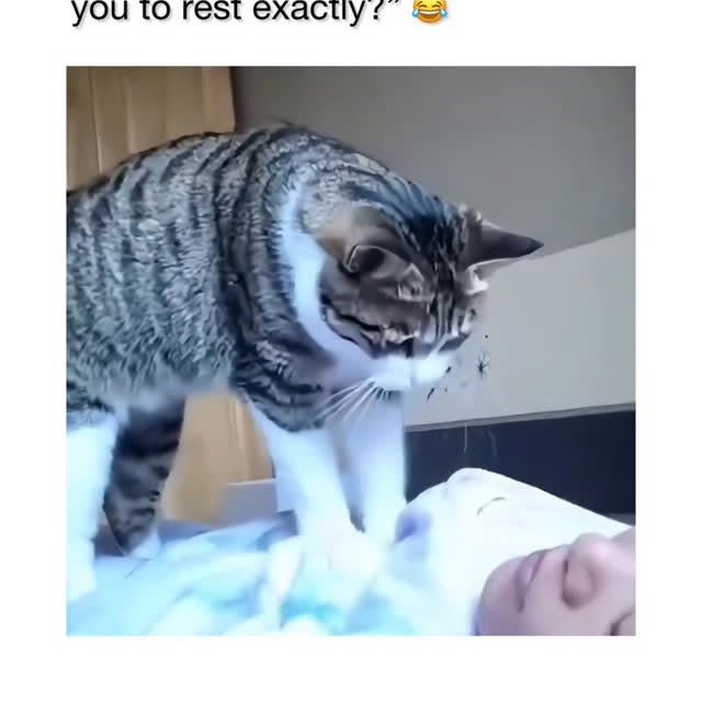  ........eos_fr_us   'recent posts' 