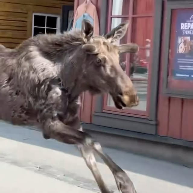  ......pictur   'recent posts' 