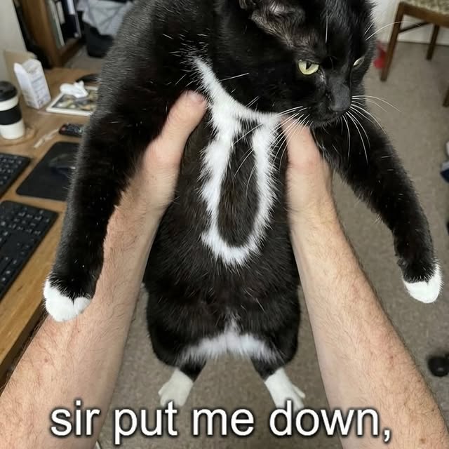  ....eowsy   'recent posts' 