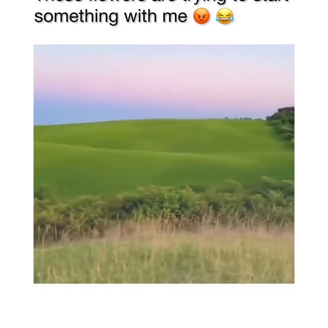  ........eos_fr_us   'recent posts' 