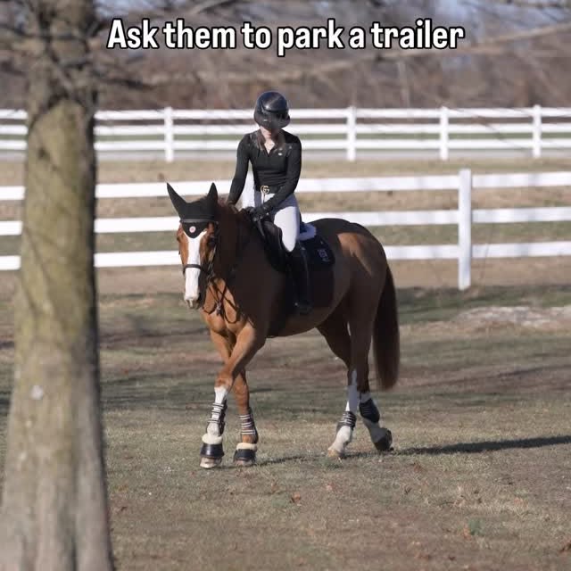  .....hulse   'recent posts' 