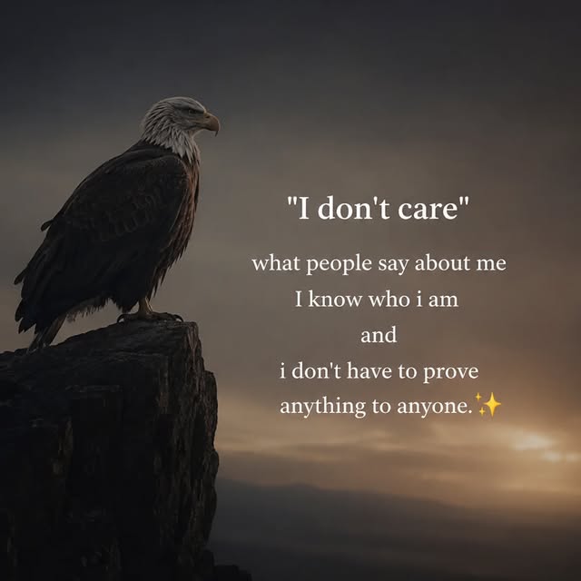  ............quotes_trends   'recent posts' 