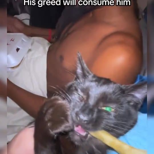  ...........irmouthopen   'recent posts' 