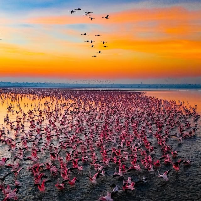  ......sfever   'recent posts' 