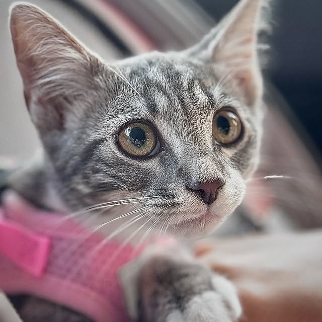  ....hite   'recent posts' 