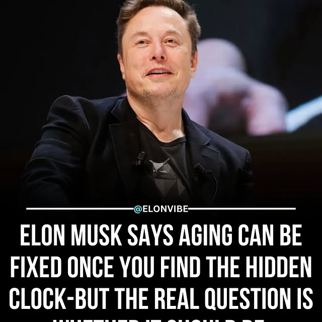  ....vibe   'recent posts' 