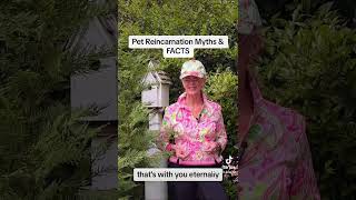  ......Atwater  'recent videos' 