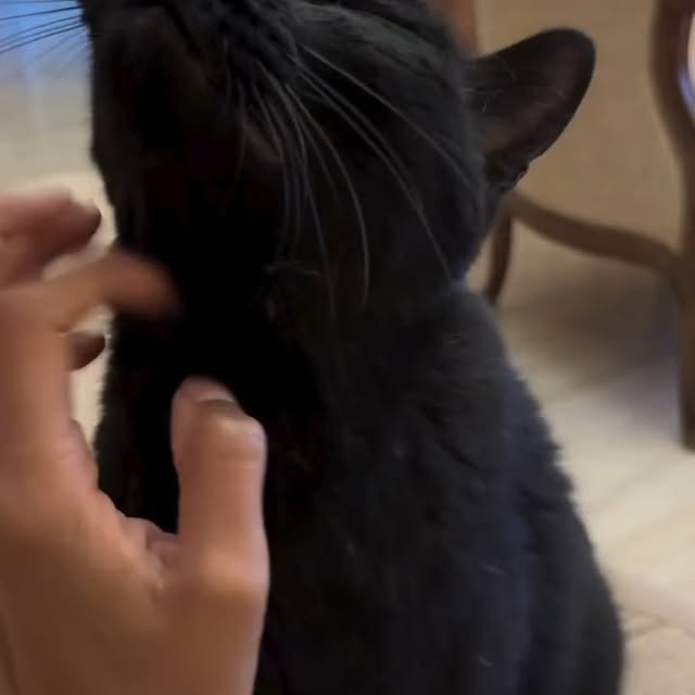  .....li9ht   'recent posts' 