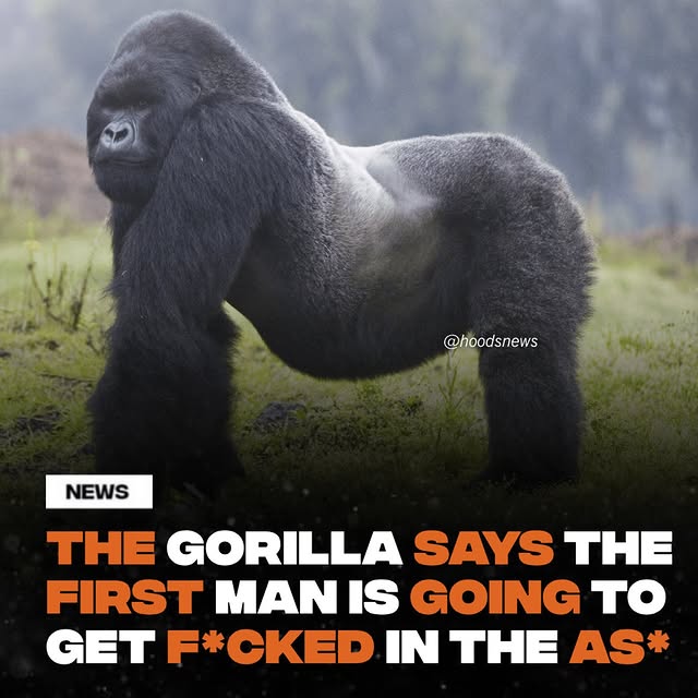  .....nisher   'recent posts' 