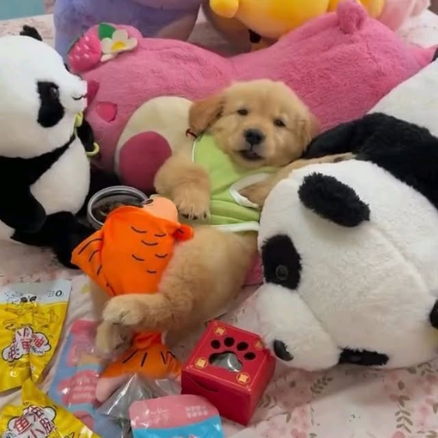  .......page_   'recent posts' 