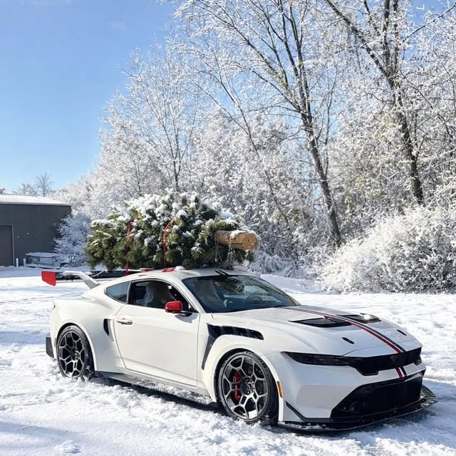  .......fanclub   'recent posts' 