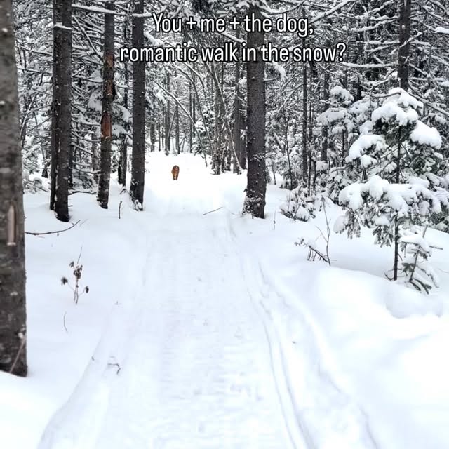  ......atoller   'recent posts' 