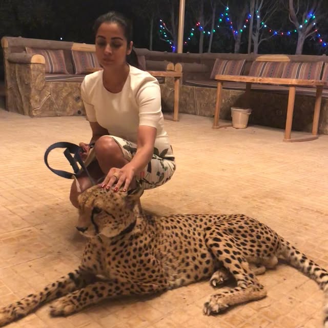  ......a.naik   'recent posts' 