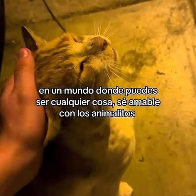  ......oencafe   'recent posts' 