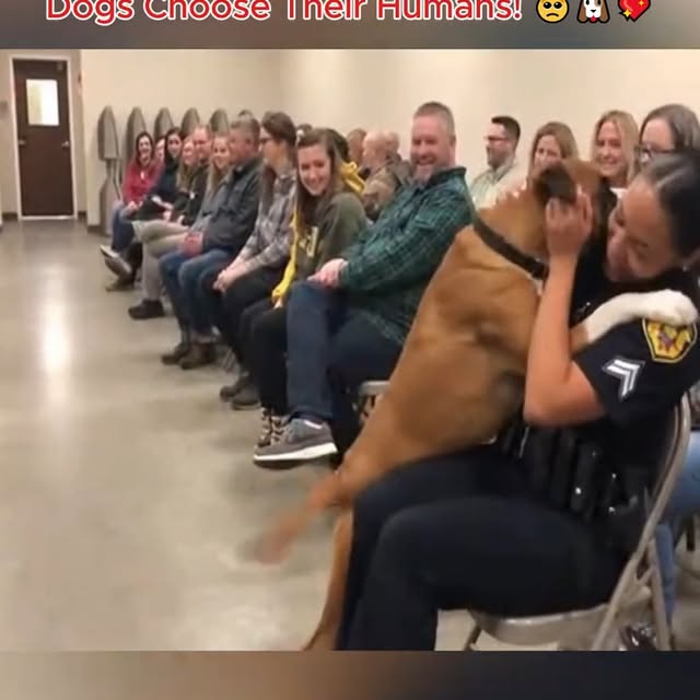  .....sland   'recent posts' 