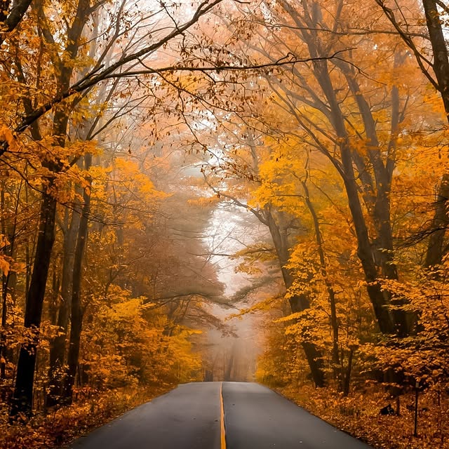  .........dventures   'recent posts' 