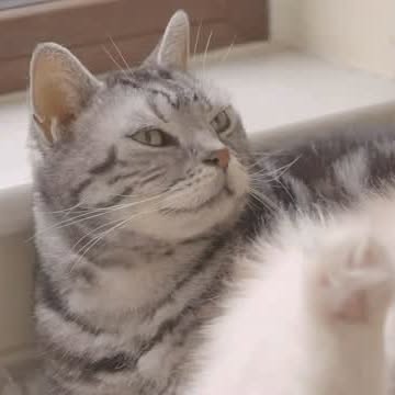  .....pinar   'recent posts' 