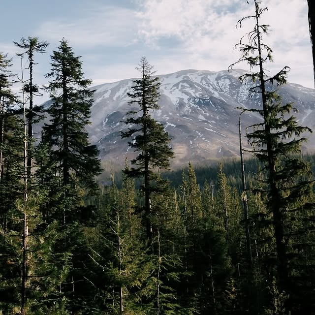  .......utevibes   'recent posts' 