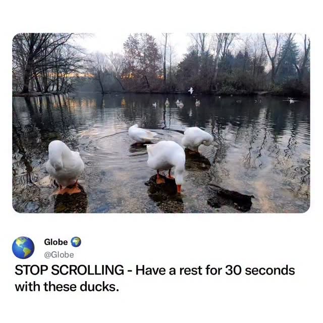  ..obe   'recent posts' 