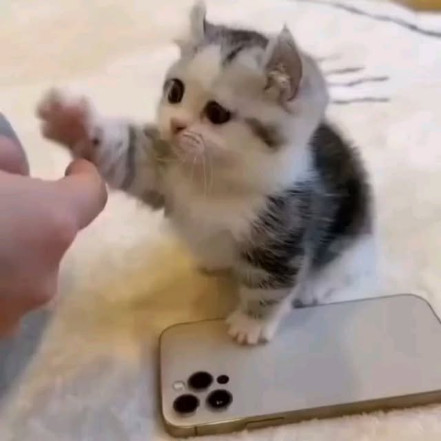  .......uteness1   'recent posts' 