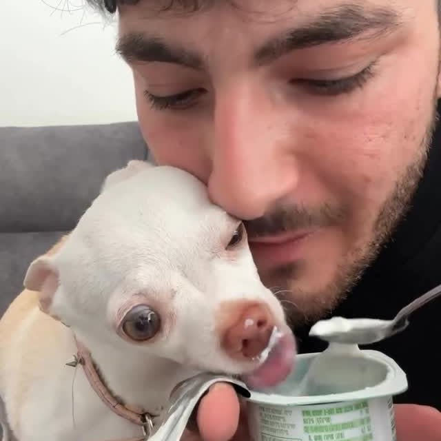  ........astiming   'recent posts' 