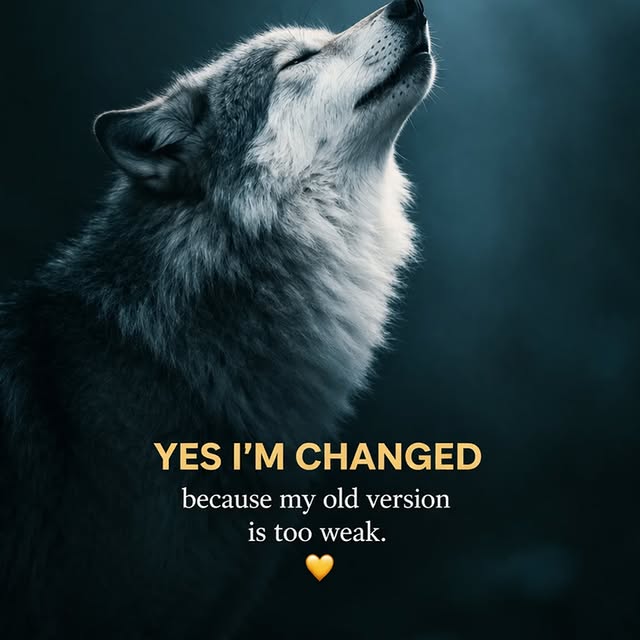  ............quotes_trends   'recent posts' 