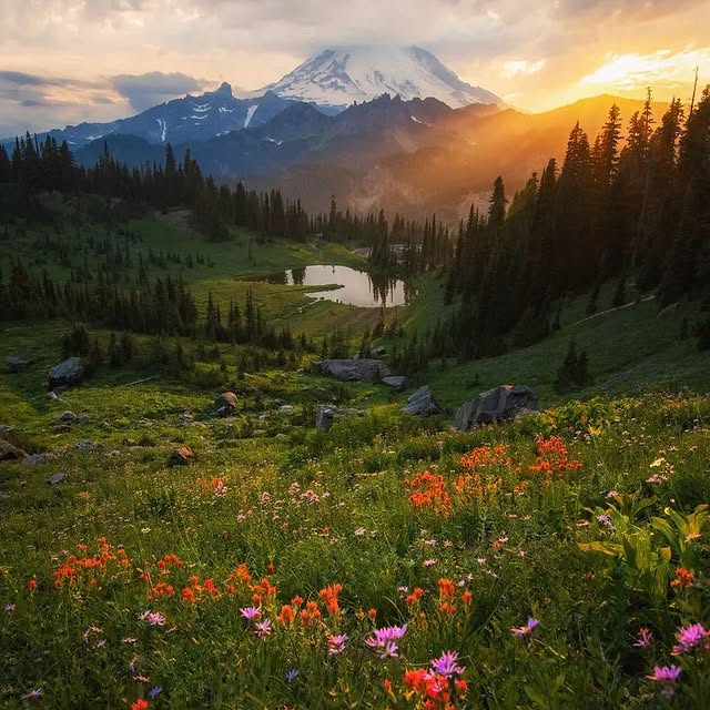  .........dventures   'recent posts' 