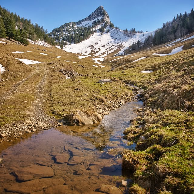  .........rancaises   'recent posts' 